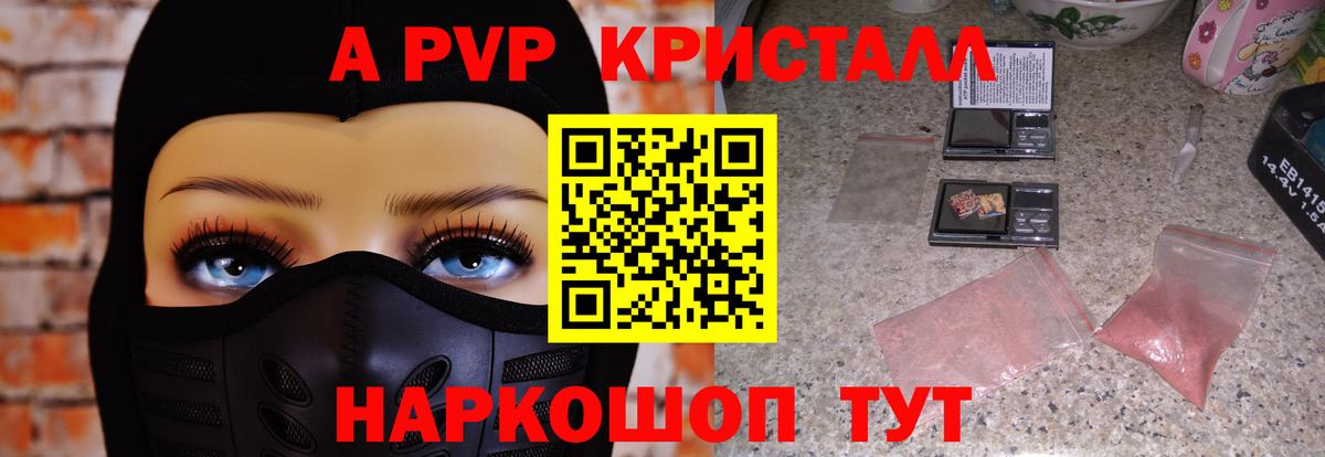 А ПВП СК КРИС  Вход с VPN  Alpha PVP СК  A PVP СК  Надым 