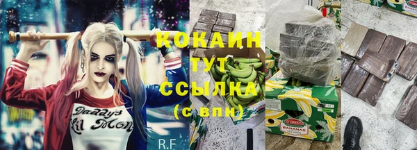 каннабис Новозыбков