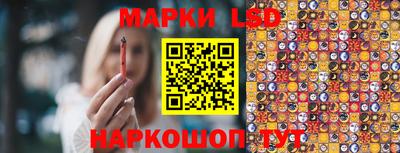 гидропоника Заволжье
