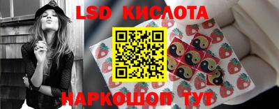 СК Заводоуковск