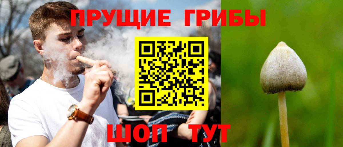 Галлюциногенные грибы GOLDEN TEACHER Надым